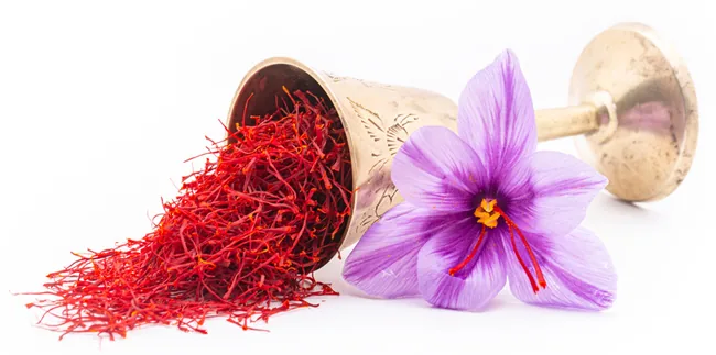 Vision Formula, saffron 1